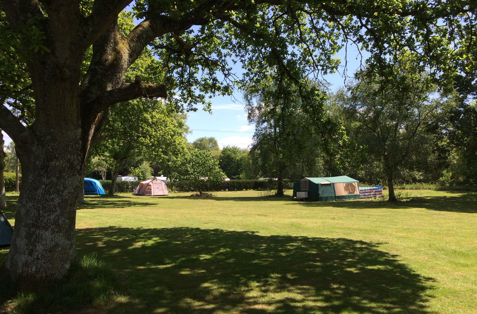 Ringwood Camping Campsites in Ringwood, New Forest